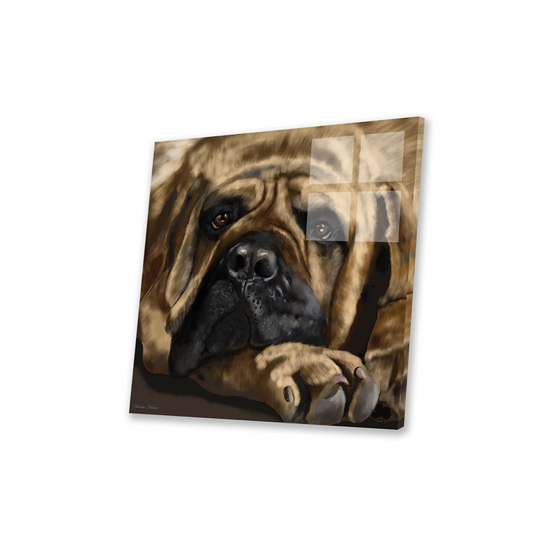 Mastiff imprimé sur verre acrylique, H 24 po x l 24 po x P 0,25 po