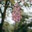 Branche de cerisier en fleurs 52 po - paquet de 3