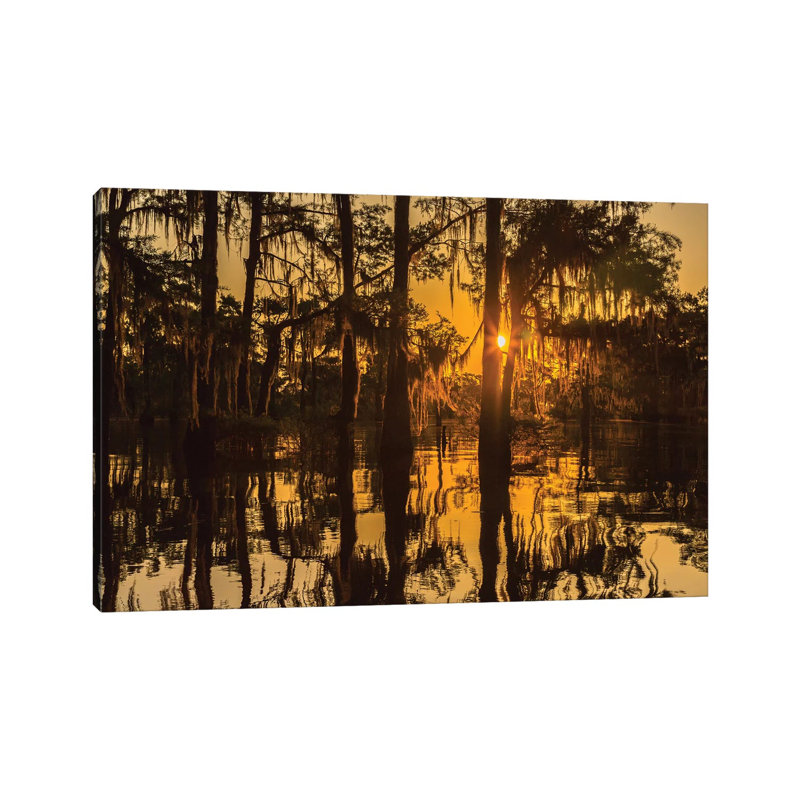 USA, Louisiana, Atchafalaya National Wildlife Refuge. Sunrise on swamp. 1 Piece Wrapped Canvas Wall Art