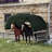 12' X 12' Corral Shelter For Livestock-128614622
