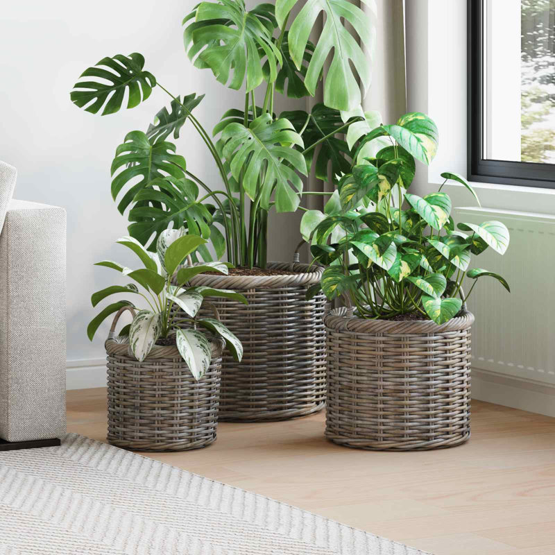 Bloomsbury Market Kubu Rattan Box, Kubu Grey