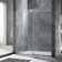 Single Sliding Frameless Shower Door