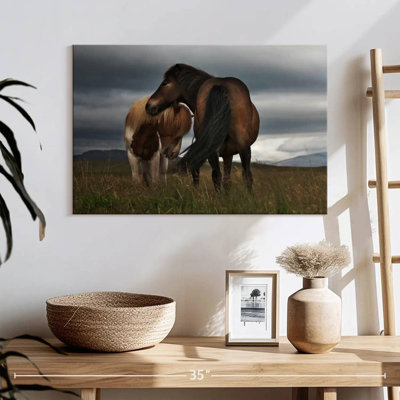 Brampt Free Iceland Pony