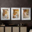 ABSTRACT Series CDXLII - Impression sur mesure avec cadre de qualité supérieure - 3 pièces-1681423418-1681423423