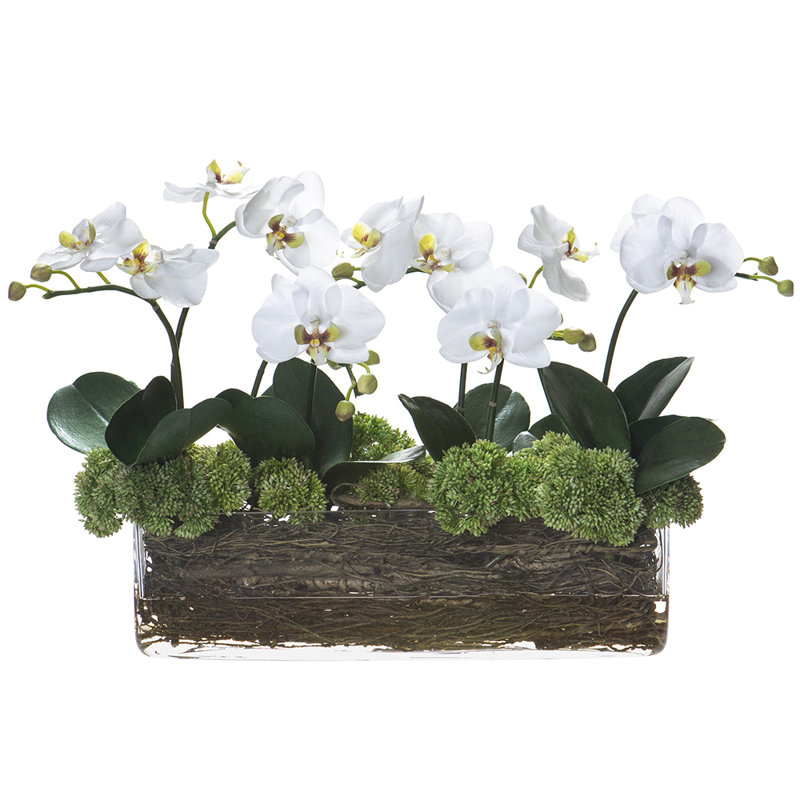 14.5" PHAL/SED/TWIG IN GLS VS