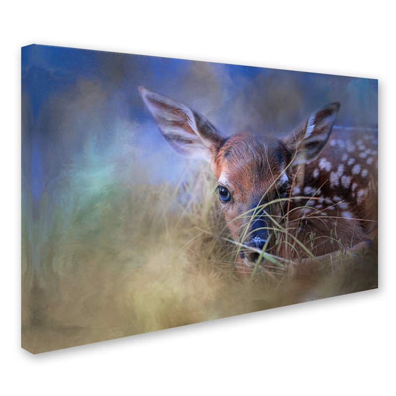 «The First Fawn», impression sur toile tendue Vidur, H 12 po x l 19 po