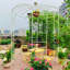 Arche de jardin en acier galvanisé de style cage à oiseaux avec finition thermolaquée pour les mariages