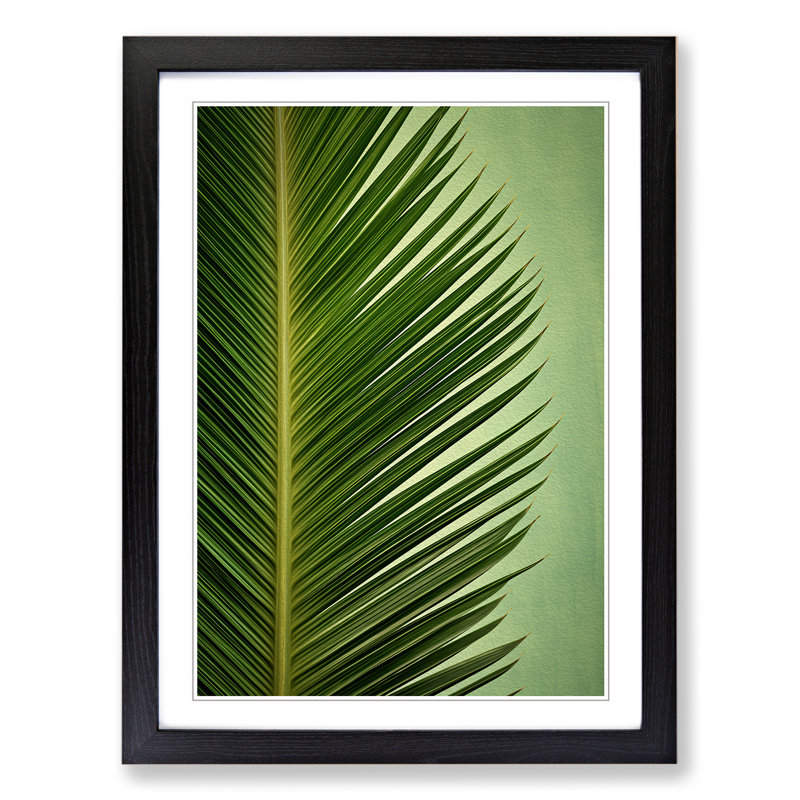Palm Leaf Symbolism - Single Picture Frame Print on Wood, Black Framed, 46cm H x 34cm W x 2" D