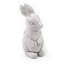 Collmar Animal Rabbit-151450690