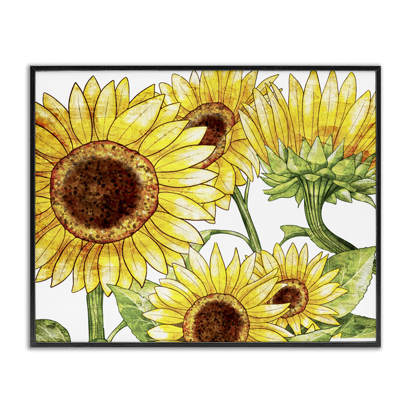 Giclée encadrée «Peeking Sunflower Blooms», conception de Kim Allen, H 11 po x l 14 po, Giclée encadrée noir minuit