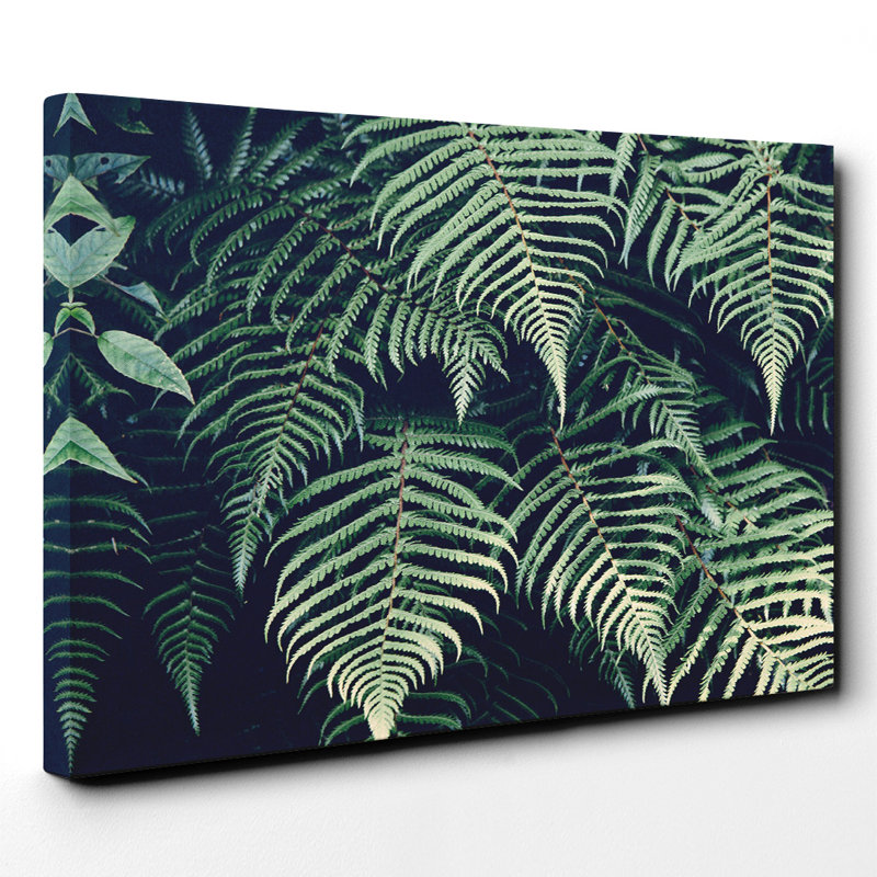 Wrapped Canvas Print, 50cm H x 76cm W