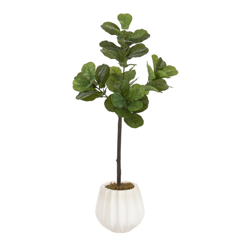 Figuier à figuier Fidmont avec pot festonné Claudel, White, H 47,24 po x l 19,69 po x P 15,75 po