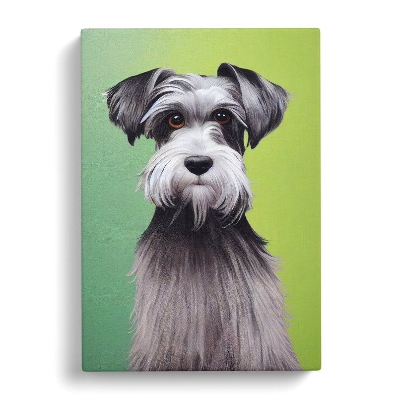 Schnauzer Dog - Wrapped Canvas, 50cm H x 35cm W x 3cm D