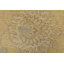 Glorice One-of-a-Kind 10'1'' X 14'3'' New Age Wool Area Rug Gold