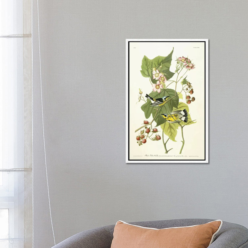 Black and Yellow Warbler and Flowering Raspberry, c.1826-1838 by John Audubon - 1 Piece Wall Art on Canvas, White Framed