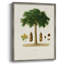 Arbre antique avec fruit, impression encadrée en bois massif-251401420