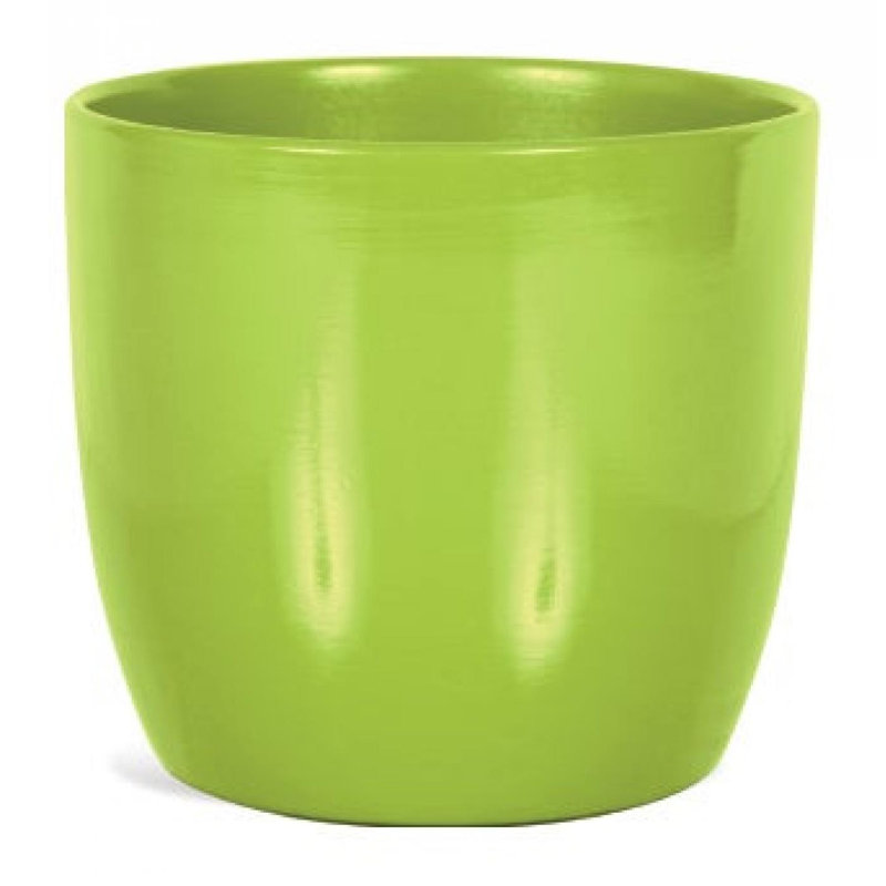 Pot à fleurs citron et citron, Vert