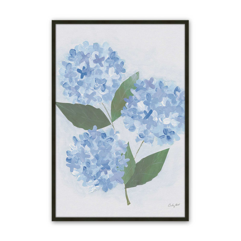 Reproduction d'art sur toile Providence Hydrangea I par Courtney Prahl, Noir, H 16 po x l 12 po