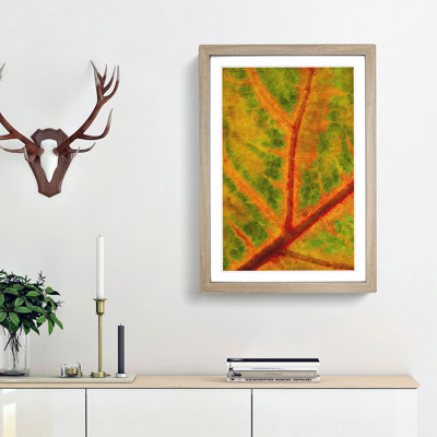 Map of a Leaf - Picture Frame Painting Print