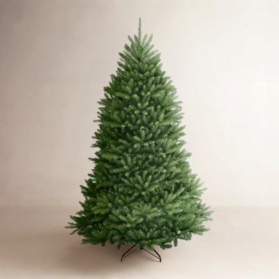 Dunhill Fir Fir Tree