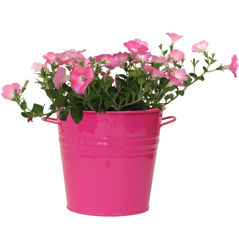Retiro Metal Pot Planter, 1, Hot Pink