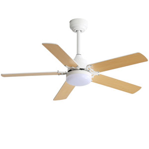 https://assets.wfcdn.com/im/12813880/resize-h300-w300%5Ecompr-r85/2608/260815274/Derick+Ceiling+Fan+with+Light+Kit.jpg