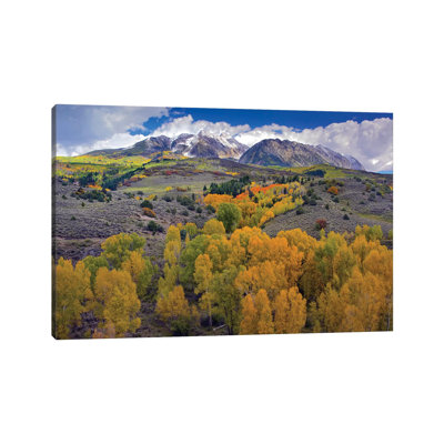 Fall Colors At Chair Mountain, Colorado by Tim Fitzharris - Wrapped Canvas Print