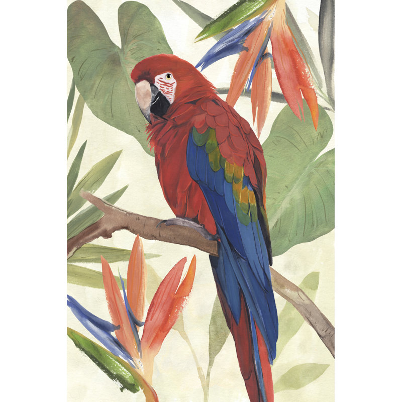 Composition de perroquet tropical II, H 18 po x l 12 po x P 1,25 po, Non, Toile tendue