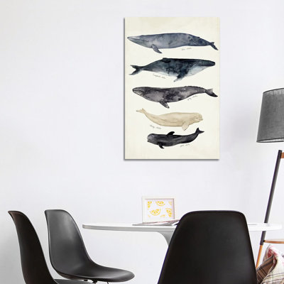 Whale Chart II by Victoria Barnes - Wrapped Canvas Painting