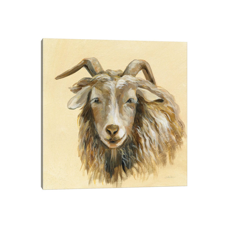 Highland Animal Sheep by Silvia Vassileva - Wrapped Canvas Gallery-Wrapped Canvas Giclée