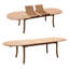 Osborne Outdoor 11 - Piece Teak Dining Set-946143271-1015881872