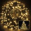 LED Indoor / Outdoor String Lights-2704302-2704300