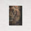 «Lion Half Face2» par David Stribble, art mural en métal, 24 po x 36 po-274190193