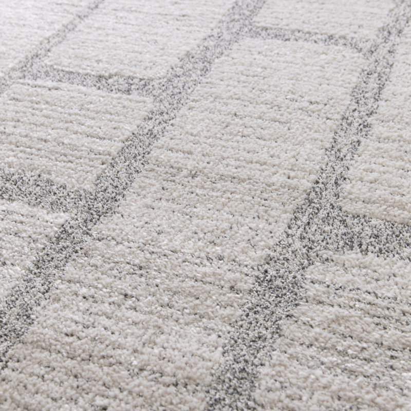 Aileth Chequered Area Rug, Rectangle 200 x 290cm