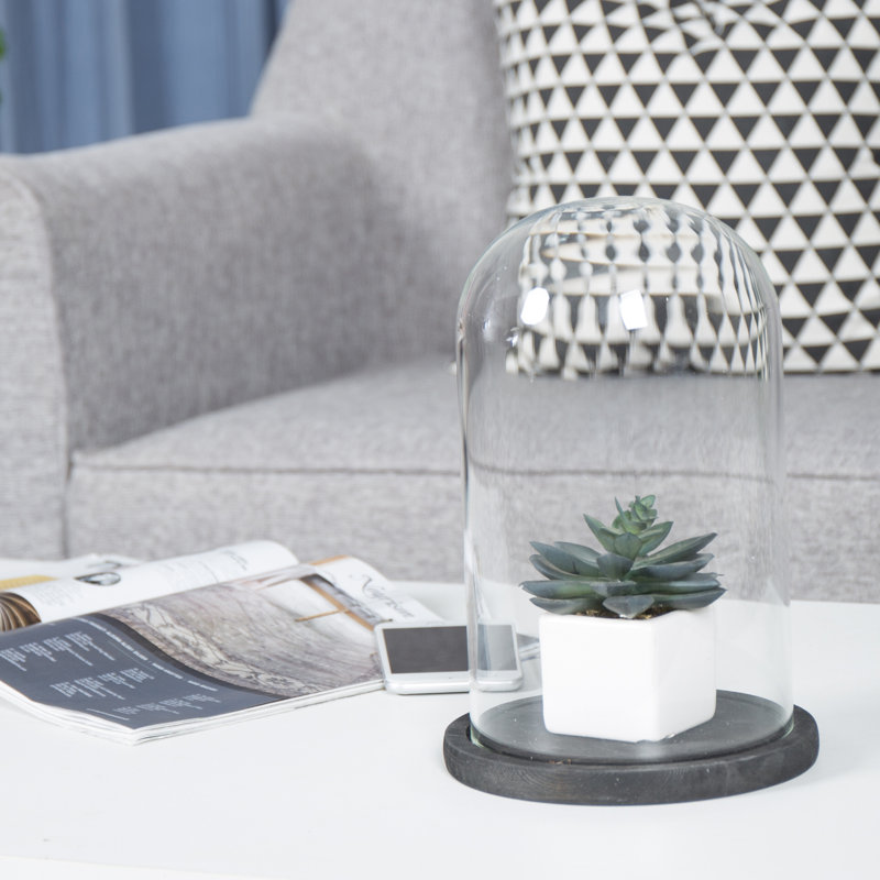 Abstract Cloche Or Water Globe