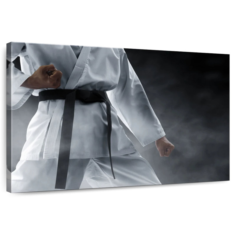 Arts martiaux Sireci - ceinture noire, H 8 po x l 12 po
