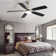 Derick 52'' 5-Blade Modern Ceiling Fan with LED Light and Remote Control