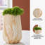 Vase Kadey