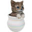 Figurine réaliste de chat tigré brun aux yeux bleus dans un pot artistique pastel