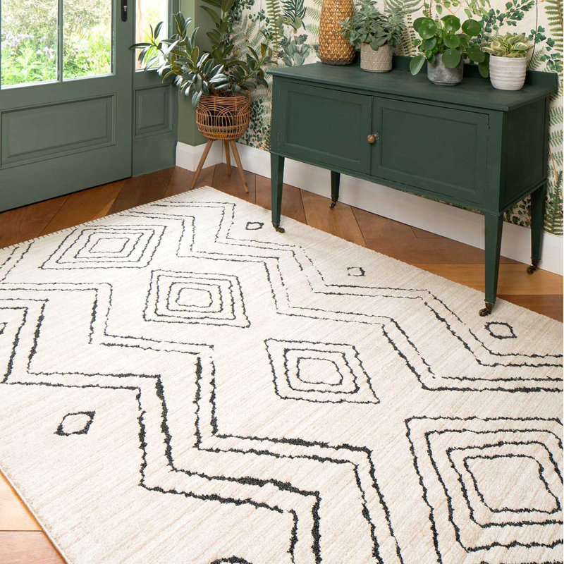 Goleta Shag Area Rug, Rectangle 200 x 290cm