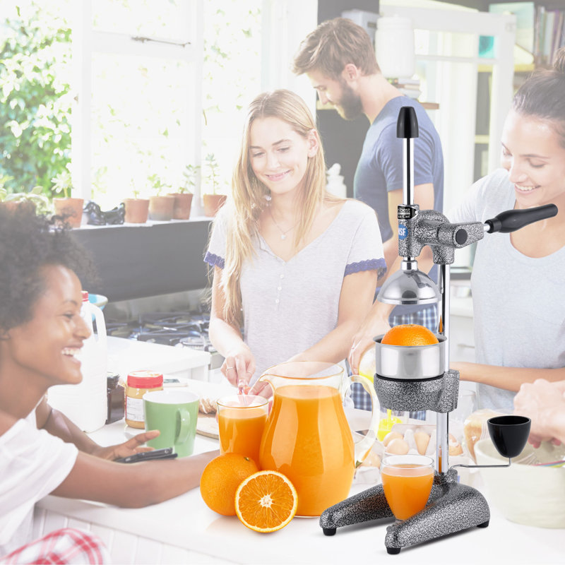 Pro MJP-100 Professional Manual Slow Masticating & Cold Press Juicer, Black