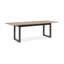 Alduina Extendable Dining Table-230812692