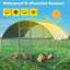 Poule Erisa-1624489730