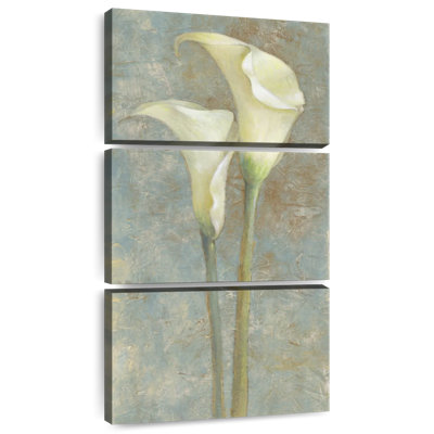 Calla Lily II