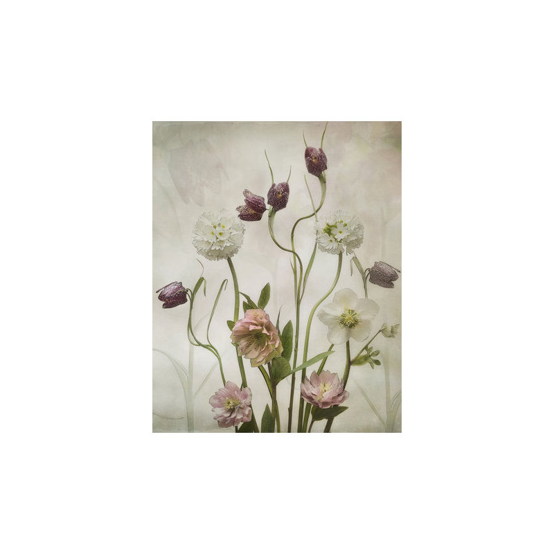 Wrapped Canvas Print, 50.8 cm H x 76.2 cm W