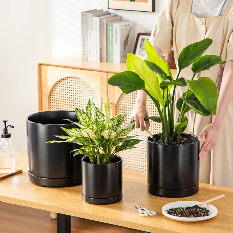 FLHPOT Ceramic Pot Planter