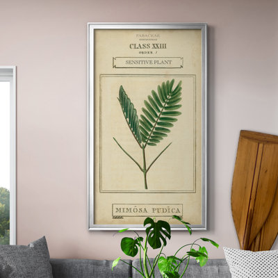 Linnaean Botany IV - Peinture sur toile encadrée