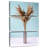 Harnek Boho Pampas Grass-108665628