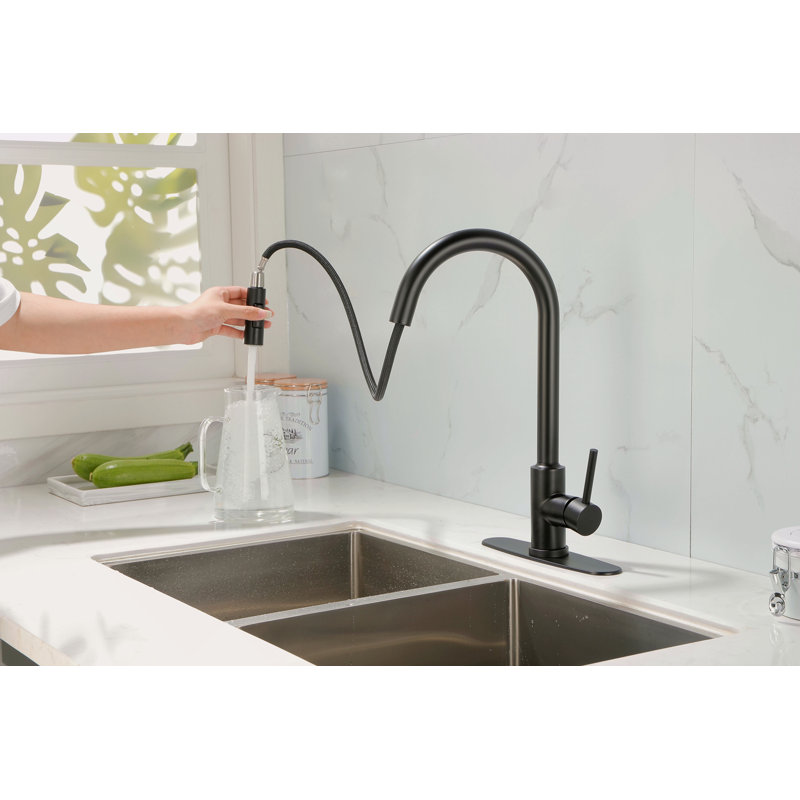 Kitchen Faucet With Pull Down Sprayer, Matt Black