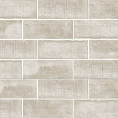 Autumn Essentials 3X8 Porcelain Wall and Floor Tile